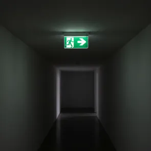 LED emergency light 3 W up to 3 h | EL06-3LF